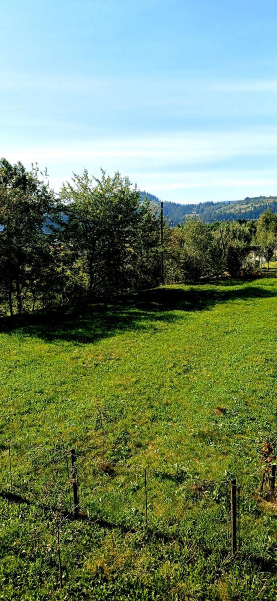 Country house на пагорбі *